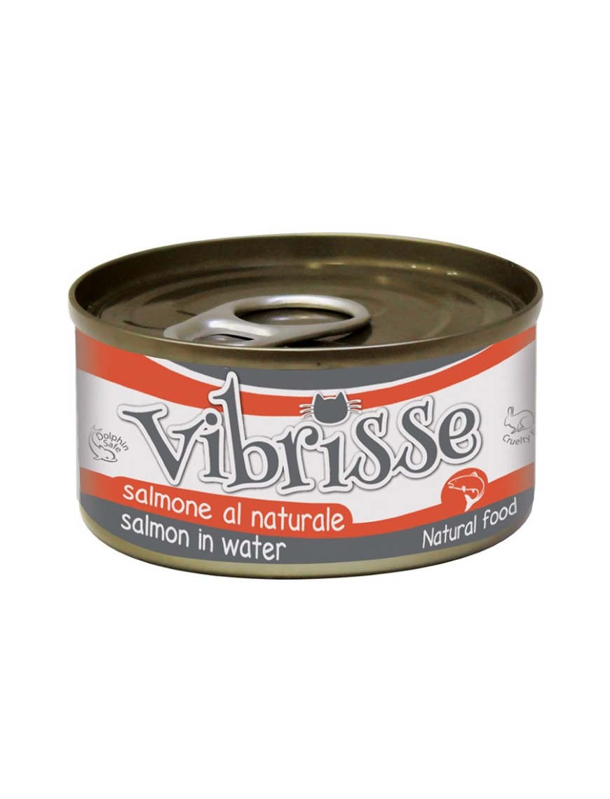 LATA GATO VIBRISSE SALMAO 70 G
