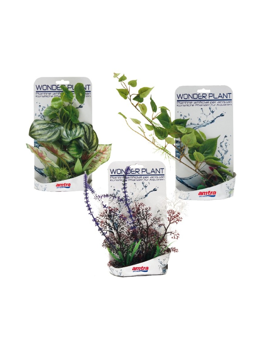 AMTRA PLANTA WONDER  D 25-40 CM