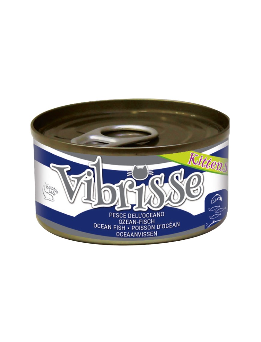 LATA GATINHO VIBRISSE PEIXE OCEANO 70 g