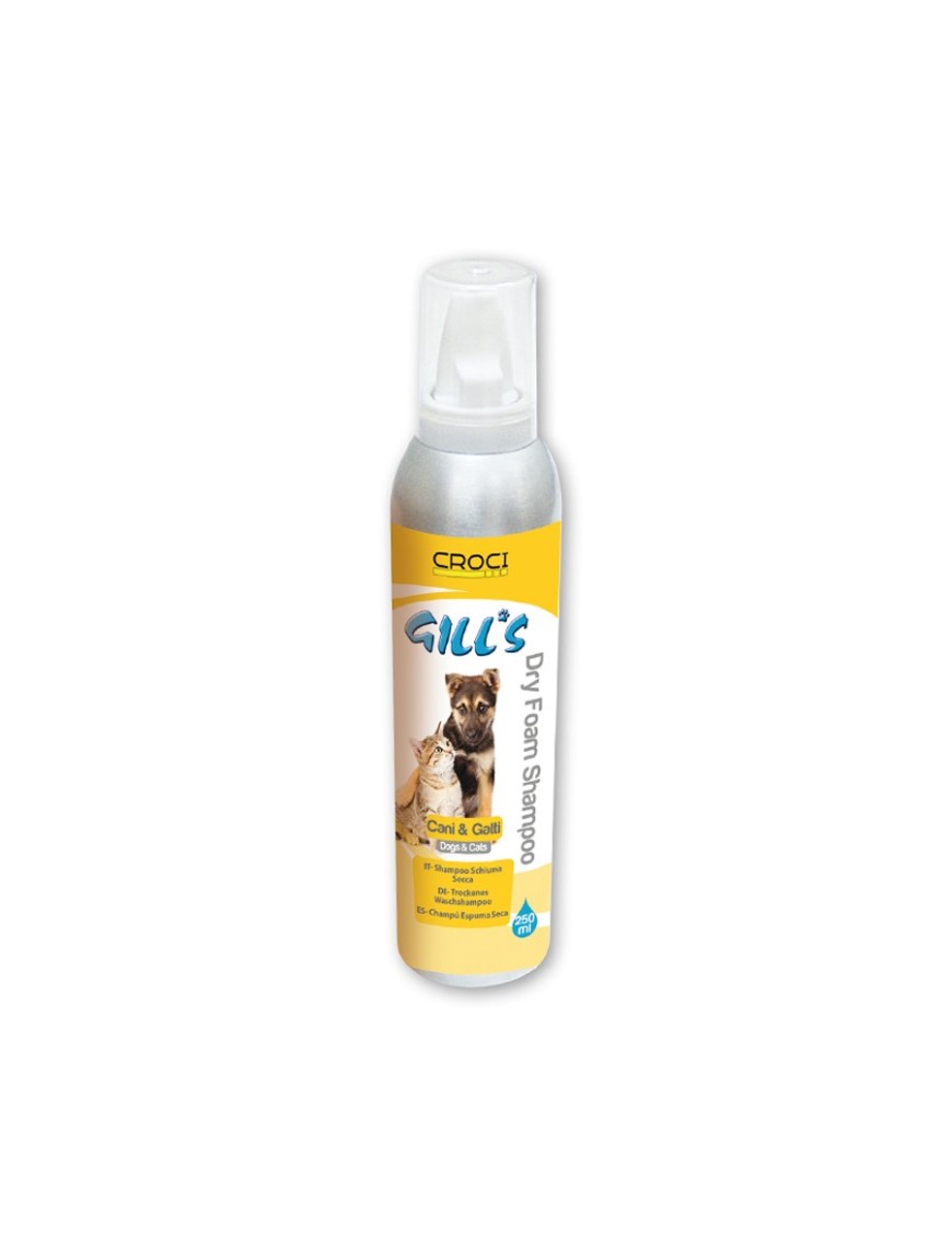 GILLS CHAMPÔ SECO ESPUMA 250ML