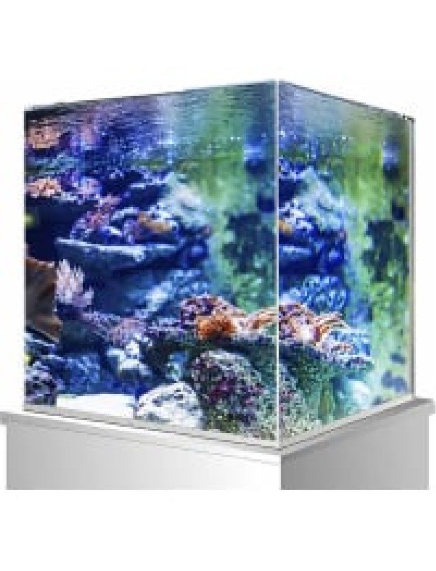 AQUARIO AMTRA NANOSCAPING 30